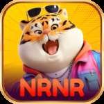 nrnr Earn Premium v5.9.2